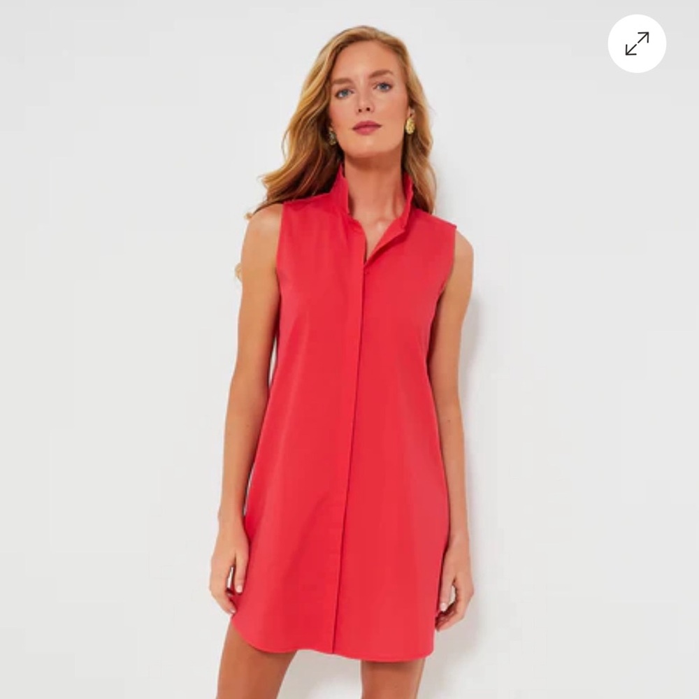 Tuckernuck Red Mini Dress